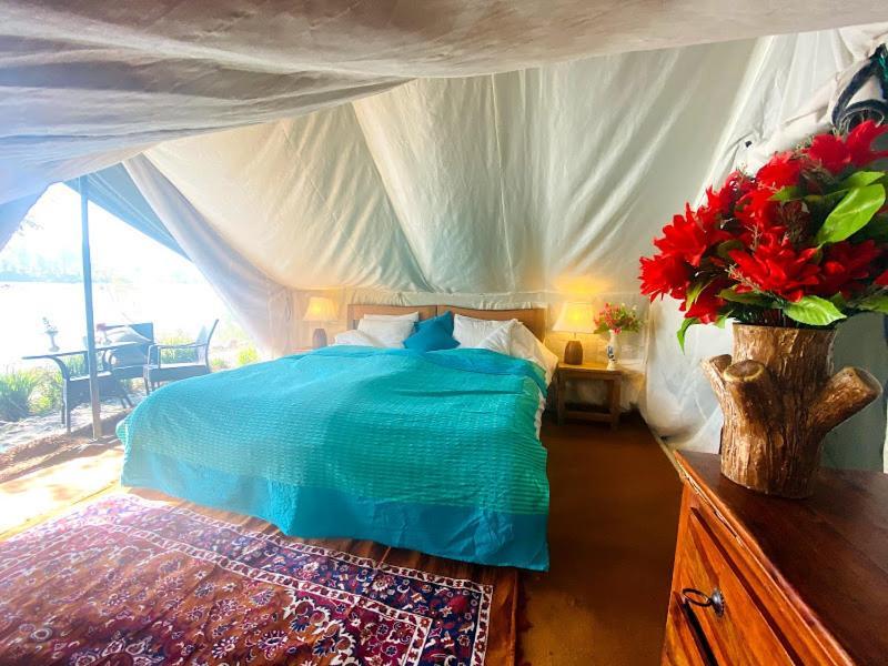 Отель Lushy Days Boom Camp Tanakpur Экстерьер фото